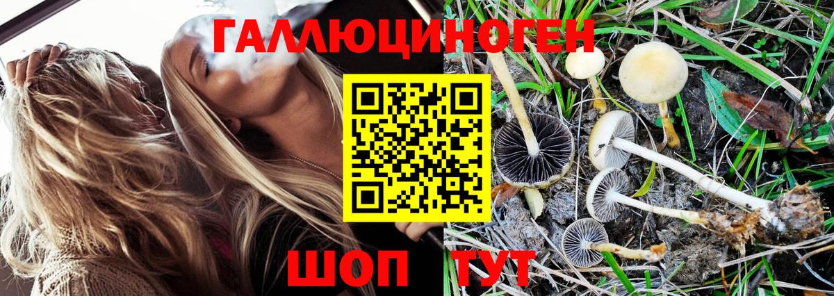 Галлюциногенные грибы прущие грибы  Галлюциногенные грибы MAGIC MUSHROOMS  Вход с VPN  купить наркоту  Коряжма 